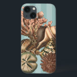 Funda Para iPhone 13 Silhouette Sea Life<br><div class="desc">Esta impresión de arte muestra las cosas más bellas de la naturaleza dentro del océano. Encuentre todos los tipos de vida marina en esta imagen, incluyendo una concha, dólares de arena y arrecifes enterrados en lo profundo del mar. Esta colección de arte es imprescindible para los próximos productos de Zazzle....</div>