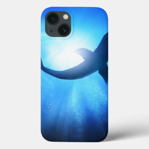 title_seo2 Silueta del tiburón del océano profundo