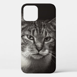 FUNDA PARA iPhone 12 SILVER TABBY CAT