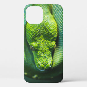 FUNDA PARA iPhone 12 SNAKE VERDE