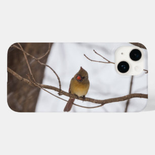 Funda Para iPhone 14 De Case-Mate Snowing de nuevo dice que la Sra. Cardinal iPhone