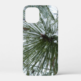 title_seo2 Snowy Pine Needles Winter Nature Photography