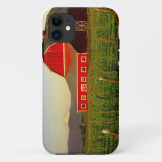 Funda Para iPhone 11 Sol de la tarde en un granero en Skagit de Washing