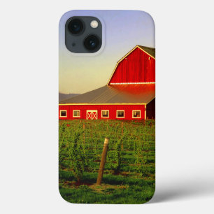 Funda Para iPhone 13 Sol de la tarde en un granero en Skagit de Washing