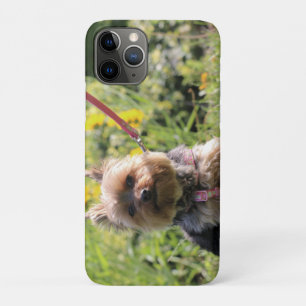 Funda Para iPhone 11 Pro Solo cariño.