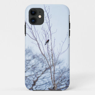 Funda Para iPhone 11 Soloista