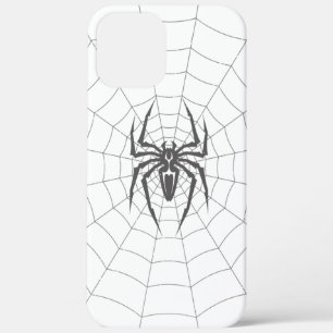 title_seo2 Spider