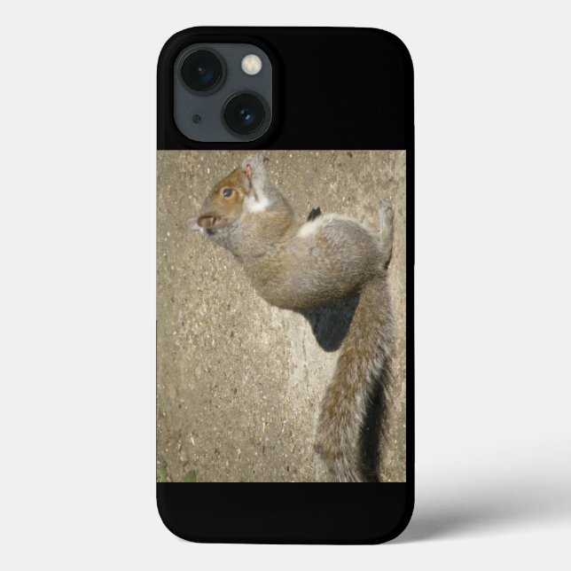 Funda De Case-Mate Para iPhone Squirrel Hungry Horatio (Reverso)