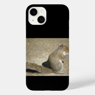 title_seo2 Squirrel Hungry Horatio