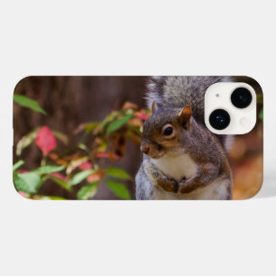 Funda Para iPhone 14 De Case-Mate Squirrel suplica con paciencia el estuche para iPh