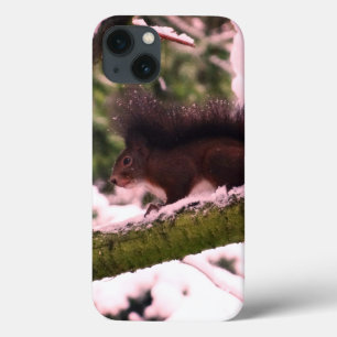 title_seo2 Squirrel Winter Photo iPhone 6/6s, Tough Xtreme