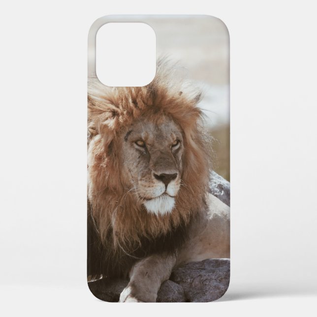 FUNDA DE Case-Mate PARA iPhone SR. LION (Reverso )