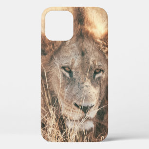 FUNDA PARA iPhone 12 SR. LION KING
