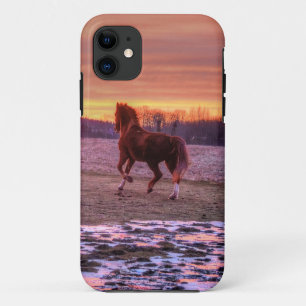 title_seo2 Stallion corriendo a casa al atardecer en el ranch