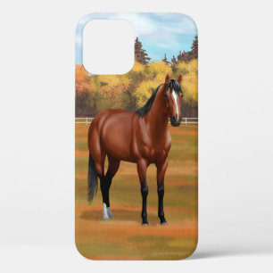 Funda Para iPhone 12 Stallion de caballos del barrio de Brown Bay