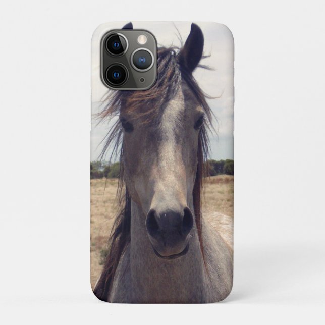 Funda De Case-Mate Para iPhone Star The Arab Pony, (Reverso)