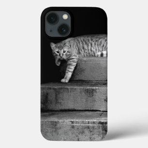 Funda Para iPhone 13 Stray Cat on Stairs