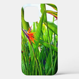 Funda Para iPhone 12 Strelitzia Reginae y hojas