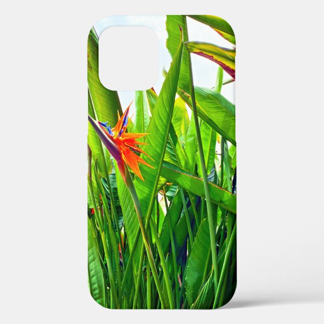 Funda De Case-Mate Para iPhone Strelitzia Reginae y hojas (Reverso )