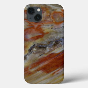 Funda Para iPhone 13 Striated Petrified Wood