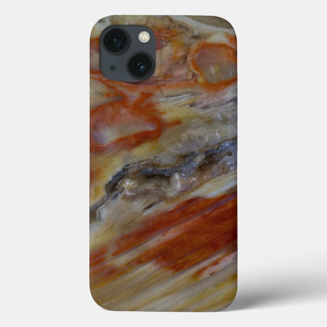 Funda De Case-Mate Para iPhone Striated Petrified Wood (Reverso)