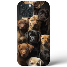 "StyleGuard: Protege tu iPhone con personalidad!