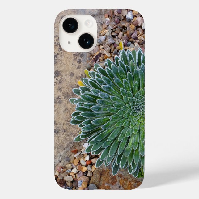 Funda De Case-Mate Para iPhone Suculenta planta del desierto (Reverso )