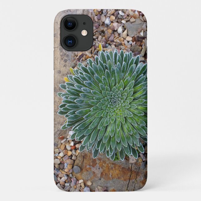 Funda De Case-Mate Para iPhone Suculenta planta del desierto (Reverso)