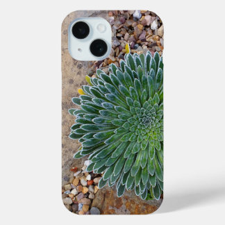 Funda Para iPhone 15 Suculenta planta del desierto