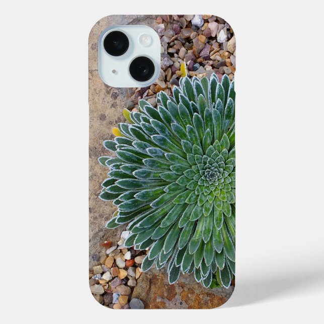 Funda De Case-Mate Para iPhone Suculenta planta del desierto (Reverso )