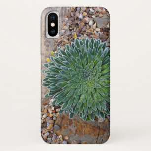Funda Para iPhone X Suculenta planta del desierto
