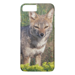 Funda Para iPhone 8 Plus/7 Plus Sudamérica, Chile, Parque Nacional Torres del Pain