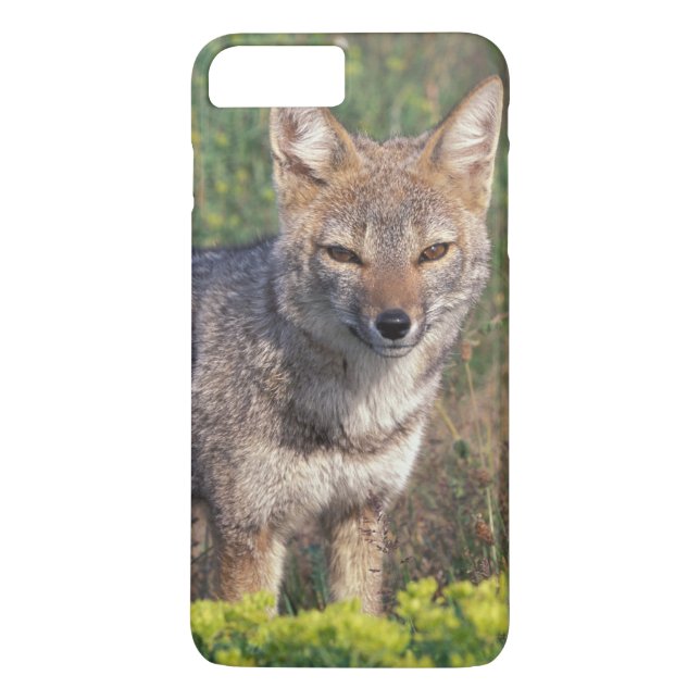 Funda De Case-Mate Para iPhone Sudamérica, Chile, Torres del Paine NP, (Reverso)