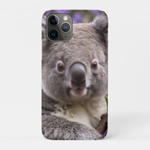 Funda Para iPhone 11 Pro "Sueño en morado: un Koala en un árbol jacarandá