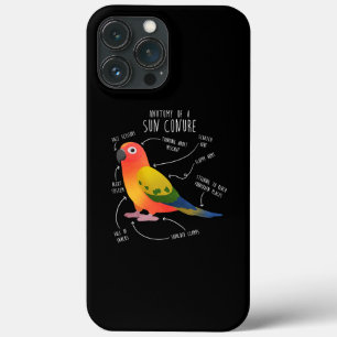 Funda Para iPhone 13 Pro Max Sun Conure Anatomía Divertida Mascota Pájaro Loro