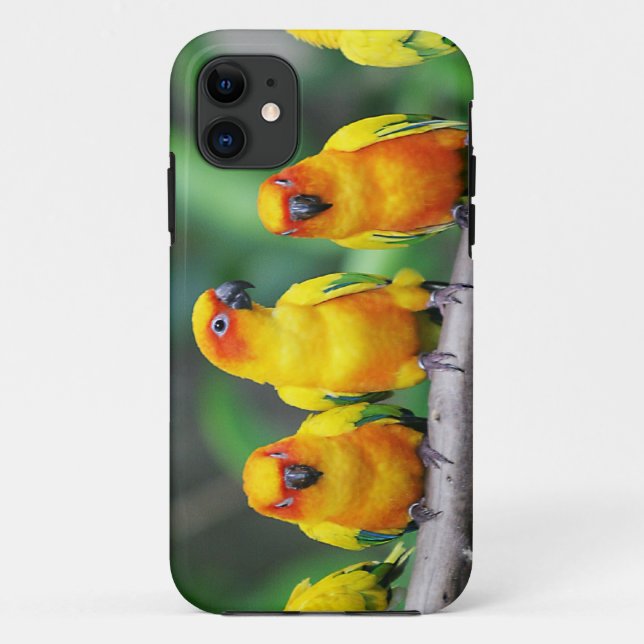 Funda De Case-Mate Para iPhone Sun Conures (Reverso)