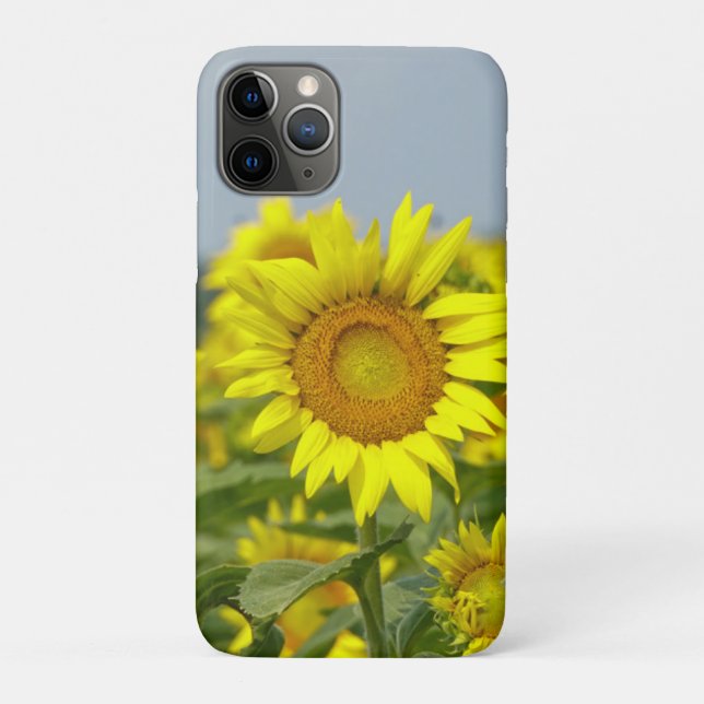 Funda De Case-Mate Para iPhone Sunflower (Reverso)