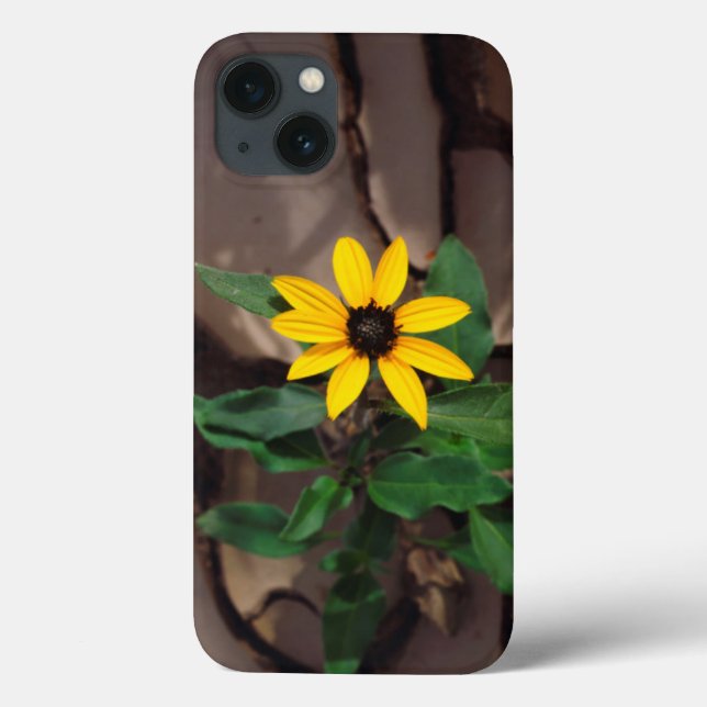 Funda De Case-Mate Para iPhone Sunflower growing from Cracked Mud (Reverso)