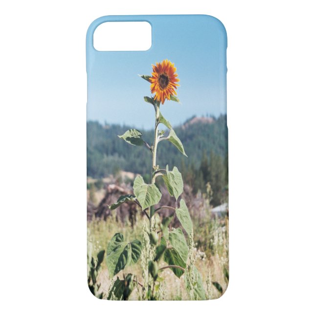 Funda De Case-Mate Para iPhone Sunflowers de verano......... (Reverso)