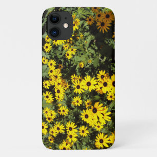title_seo2 Sunlit Meadow