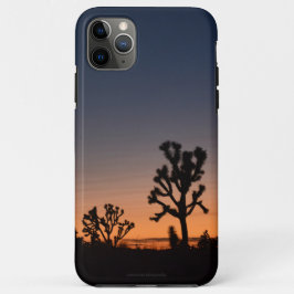 Funda Para iPhone 11 Pro Max Sunset Joshua Trees