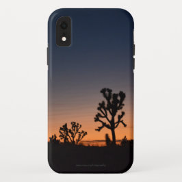 Funda Para iPhone XR Sunset Joshua Trees