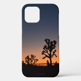 Funda Para iPhone 12 Pro Sunset Joshua Trees