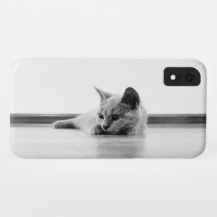 Funda Para iPhone XR Super Cuto de gato de gato de gatito de peluche es