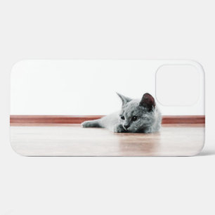 title_seo2 Super Cuto de gato de gato de gatito de peluche es