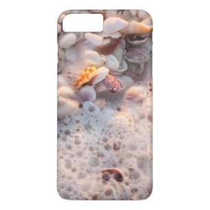 title_seo2 Surf Entrante Y Cascos Marinos En La Isla De Sanib