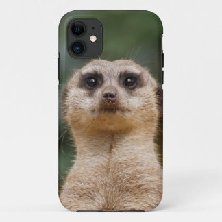 Funda Para iPhone 11 Suricata 001