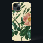 Funda Para iPhone 13 Sweet Briar Rosa<br><div class="desc">Floral</div>