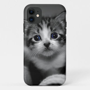 Funda Para iPhone 11 Sweet Tabby Kitten