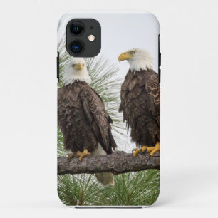 Funda Para iPhone 11 Tableta de H&O/caja del teléfono (TODOS LOS TIPOS)